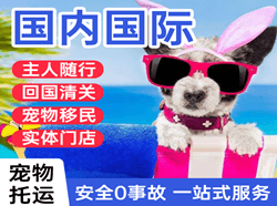 芒市航空货运国际宠物托运 【国